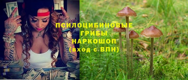 Альфа ПВП Алзамай