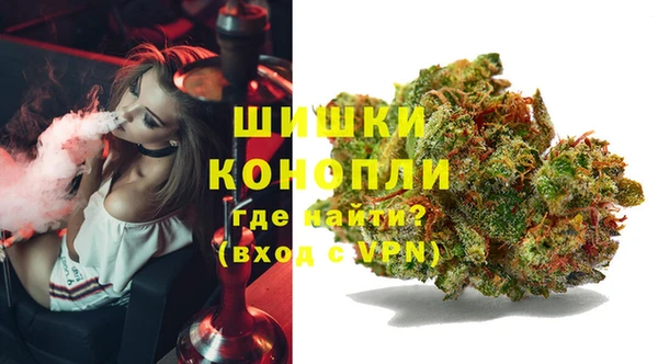 spice Абаза