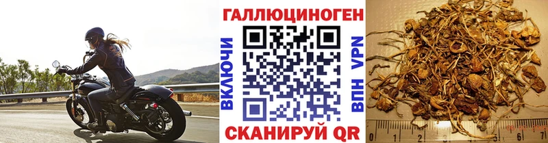 Псилоцибиновые грибы мухоморы  что такое   Уссурийск 