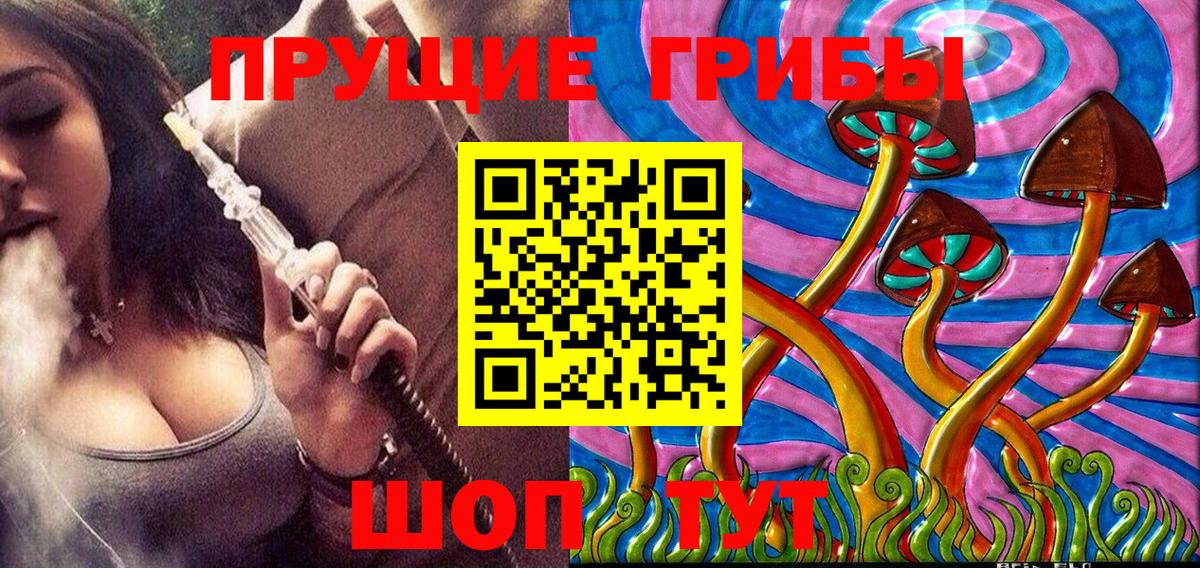 Уссурийск  Галлюциногенные грибы GOLDEN TEACHER  Вход с VPN 